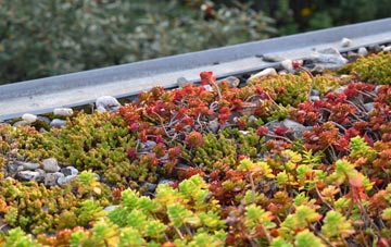 the cost of Culham green roof installation