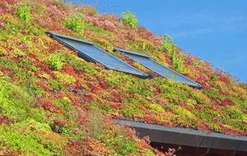 Culham living roof systems